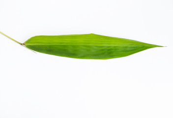 Fototapeta premium Fresh single fresh green bamboo leaf isolate on white background
