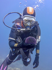 Diver with a sea urchin