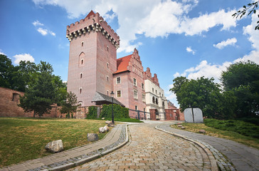 Fototapeta na wymiar A cobbled road to the reconstructed, medieval royal castle in Poznan.
