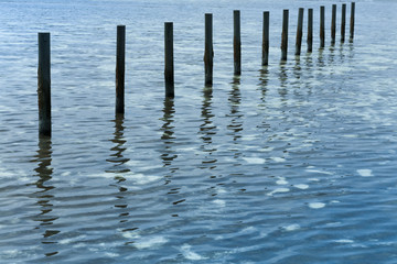 Wooden posts in the lake water