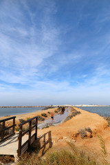 People having a mud bath in Los Barros. Mar Menor, Murcia, Spain