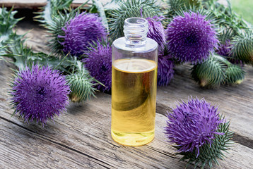 Obraz na płótnie Canvas Bottle of thistle essential oil with thistle flowers on wooden background.
