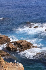 Top view on the rock in the deep blue sea and seagulls on a sunny day