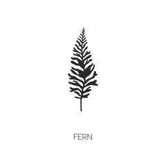 Fern icon. fern vector symbol. Linear style sign for mobile concept and web design. fern symbol illustration. Pixel vector graphics - Vector	