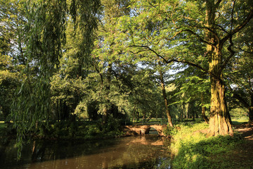 Sommer im Park (Schlosspark J&uuml;terbog)