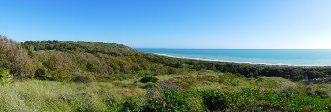 Torre Salsa natural reserve, Agrigento, Sicily - panoramic view of the lush vegetation and the long shoreline