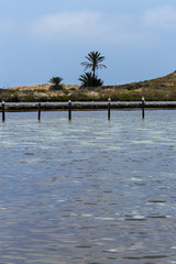 Seagulls seat on the posts at the Salt Flats, in Las Amoladeras beach at Cabo de palos, La Manga, Murcia, Spain