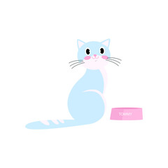 Cute blue color cat tommy is waiting for food in plate