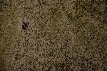 Rough green brown dirty grunge texture