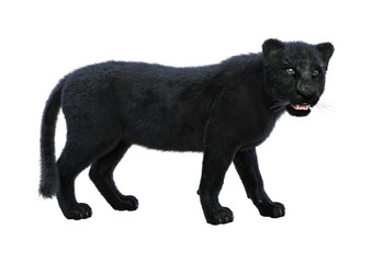 Obraz na płótnie Canvas 3D Rendering Black Panther on White