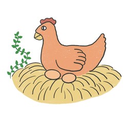 Illustration of hen laying eggs in straw nest
