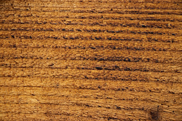 Rough wood close up texture