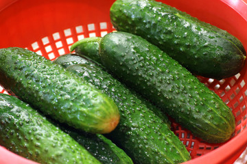 Cucumbers in a plate in the kitchen