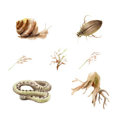 watercolor drawings on the swamp, lake Set