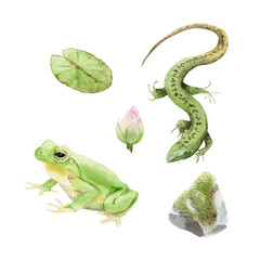 watercolor drawings on the swamp, lake Set