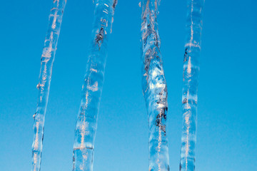 Natural icicles on blue background