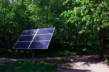 solar panel in the forest, the energy of nature