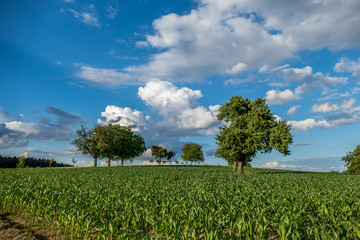 Agrarlandschaft und Wolkenhimmel