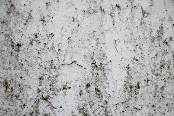 White painted grunge wall rough texture