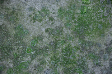 Dirty green rough metal surface texture