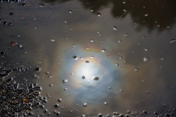 油で汚染された水たまり