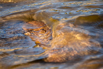 Waves of water created by the current of a river on a rock