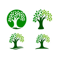 Obraz premium Tree logo template. nature icon design - vectorPrint