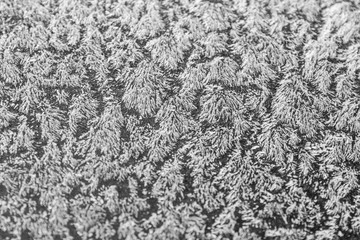 givre