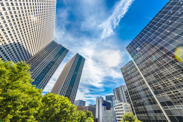 新緑と都会のビル群