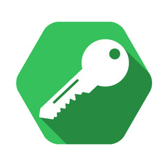 Key vector green icon in modern flat style isolated. Key can support is good for your web design.