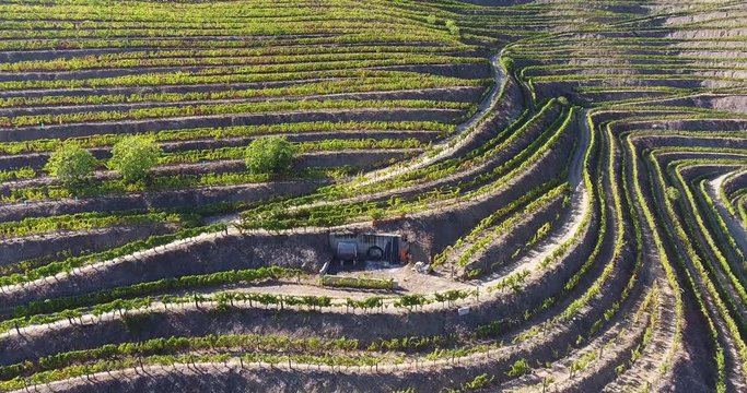 Beautiful Douro Valley aerial shot