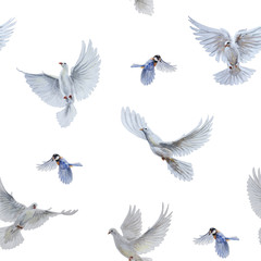 A free flying white dove and titbird on white background. Seamless pattern
