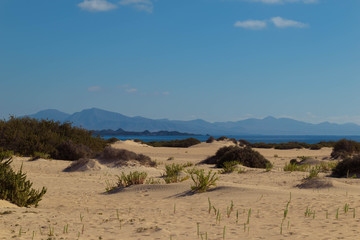 dunas