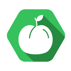 Peach vector green icon in modern flat style isolated. Peach can support is good for your web design.