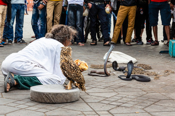 All you can find on the  Djemaa el Fna, big market square in the media from Marrakech,