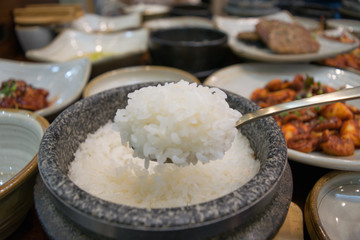 A spoonful of rice