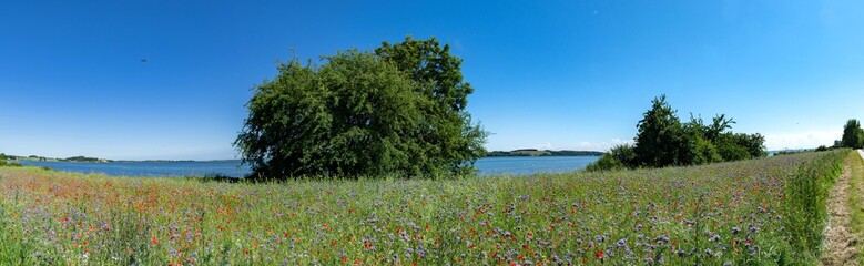 Panorama, Halbinsel Mönchgut, Reddevitzer Höft, Rügen