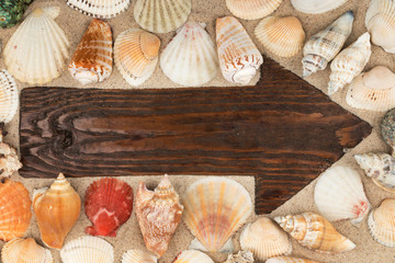 Arrow made from an old wooden board in the sand among the seashells.