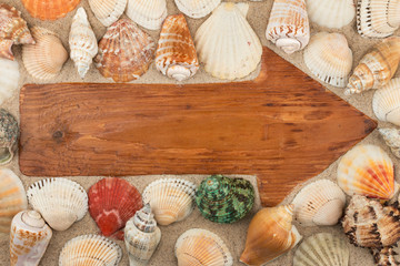 Arrow made from an old wooden board in the sand among the seashells.