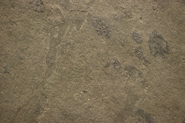 Green stone granite wall surface texture