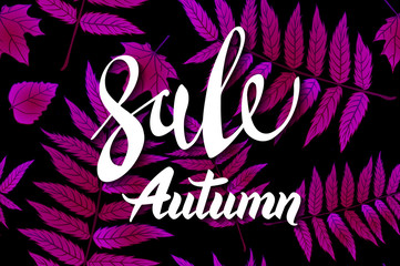 Red Autumn Sale Background, Hand Drawn Autumn calligraphy with falling leaves, Web Banner, shopping sale or seasonal poster, Postcard and Invitation card. Vector illustration, eps 10