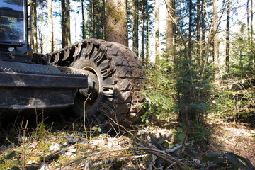 crawler-mounted vehicle in the forest