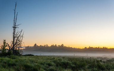 Sunrise over a wetland