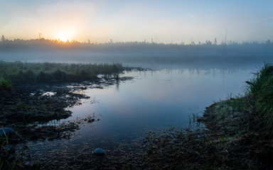 Sunrise over a wetland