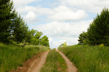 Fototapeta na wymiar Country road among trees, wood