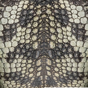 Genuine crocodile leather background image For making leather.