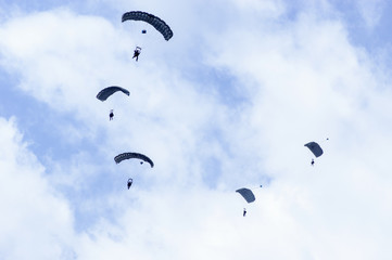 Military parachutists also called paratroopers in the sky with many clouds.