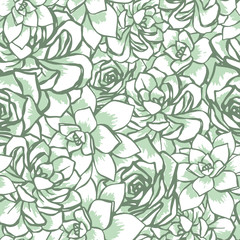 Vector succulent flower bed seamless pattern. Hand drawn vector illustration of echeveria . Green and light background ideal for wallpaper, textile, invitations.