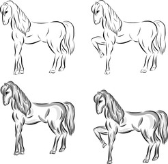 Set of vector horses drawn in black lines and with shadows