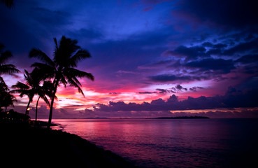 Palms Silhouetted against Colorful tropical Island Sunset 
